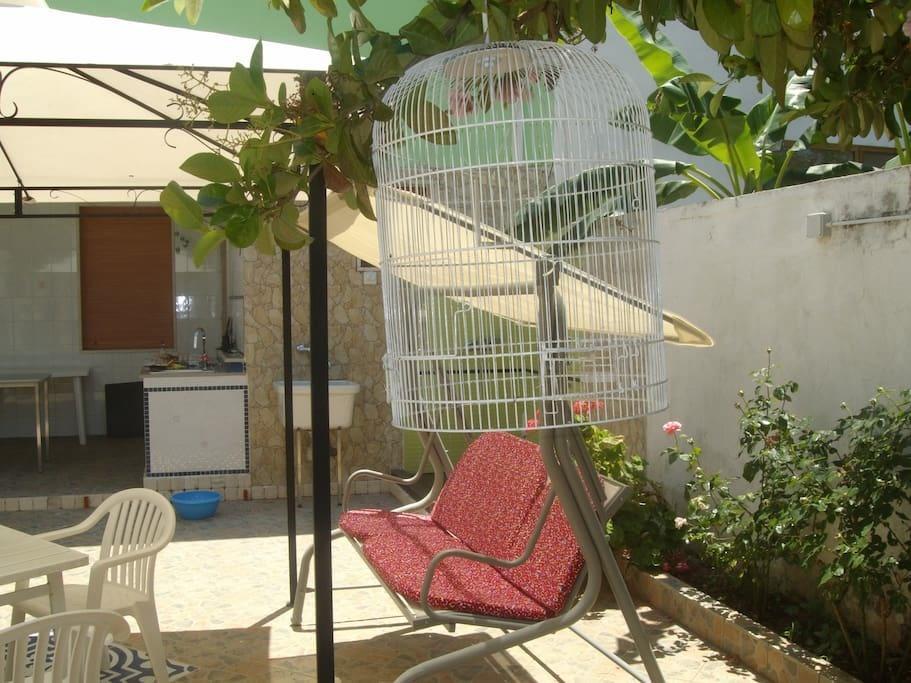 Villino Claudia 30 Mt Mare Villa Porto Cesareo Exteriör bild