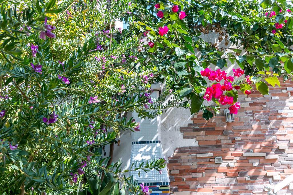 Villino Claudia 30 Mt Mare Villa Porto Cesareo Exteriör bild